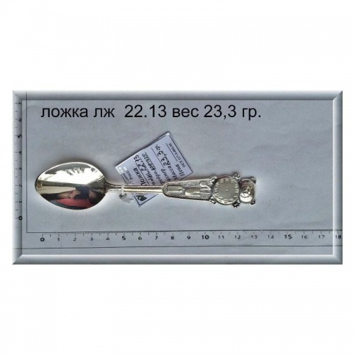Артикул: лж 22.13; вес: 23.3 гр.