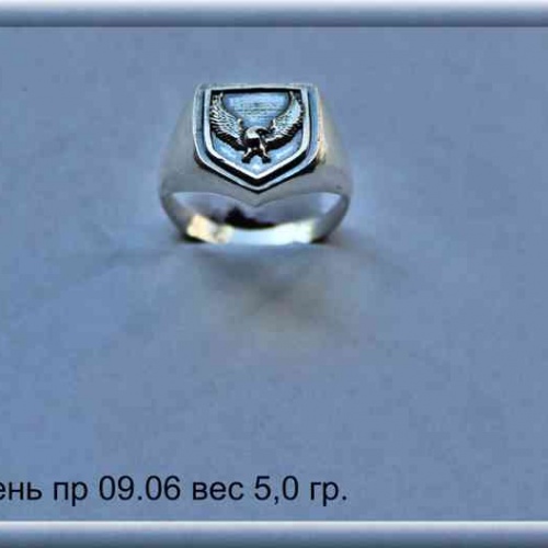 Артикул: пр 09.06; вес: 5.0 гр.